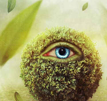 DDOS在线压力测试