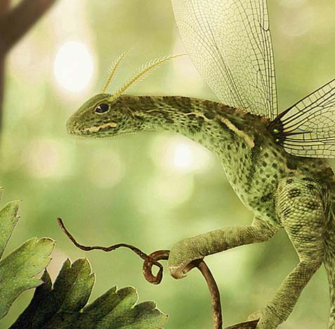 功能一应俱全的免费ddos攻击网页端