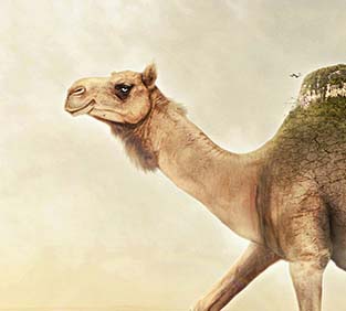 网页在线DDOS压力测试