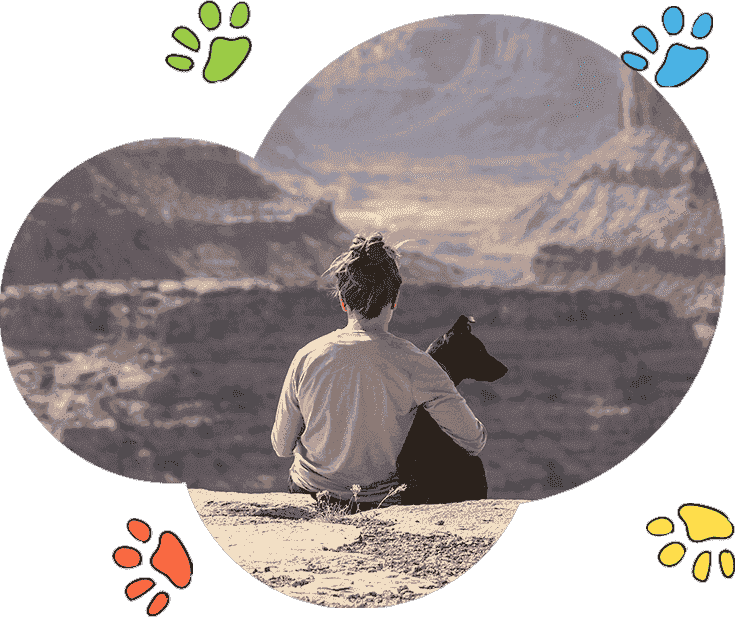 DDOS在线攻击平台