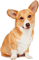 定制化强大的网站ddos隐藏源ip