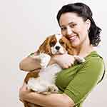 网页DDOS攻击平台