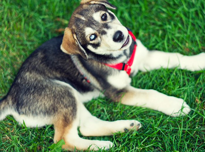 免费ddos平台攻击