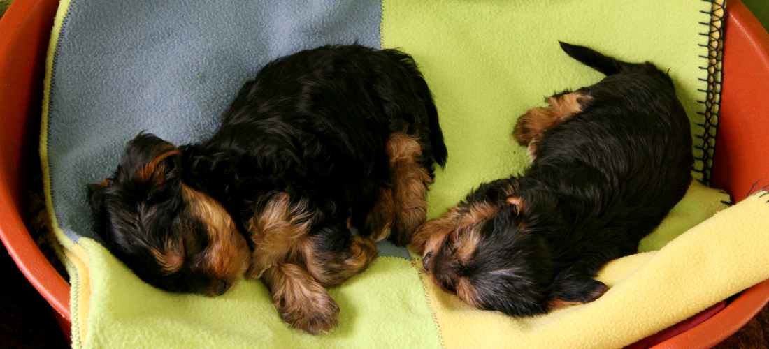 为企业省钱省力的网页DDOS攻击平台