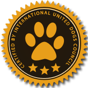 免费ddos平台攻击